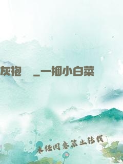 灰袍傳說