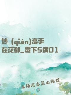 炒錢(qián)高手在花都