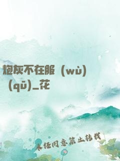 炮灰不在服務(wù)區(qū)