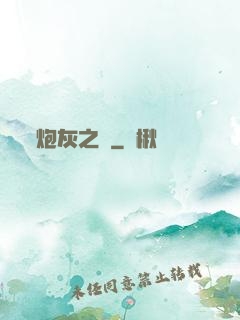 炮灰之愛