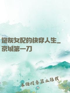 炮灰女配的快穿人生