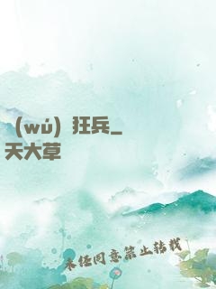 無(wú)敵狂兵