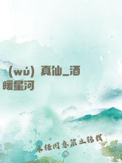 無(wú)極真仙