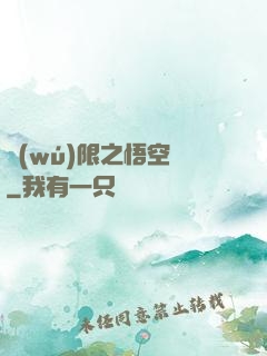 無(wú)限之悟空傳