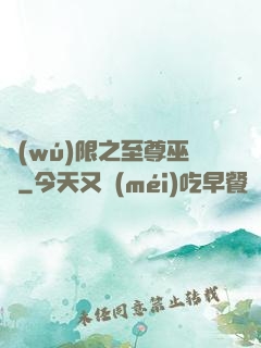 無(wú)限之至尊巫師