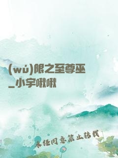 無(wú)限之至尊巫師