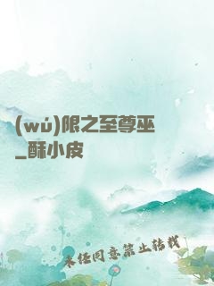 無(wú)限之至尊巫師