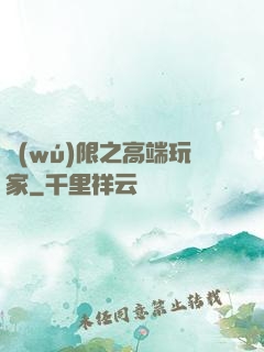 無(wú)限之高端玩家