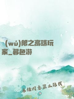 無(wú)限之高端玩家