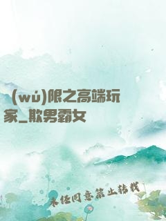 無(wú)限之高端玩家