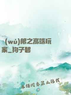 無(wú)限之高端玩家