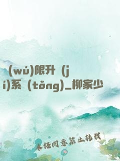 無(wú)限升級(jí)系統(tǒng)