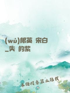 無(wú)限英靈宋白傳