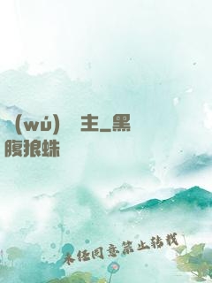 無(wú)雙劍主