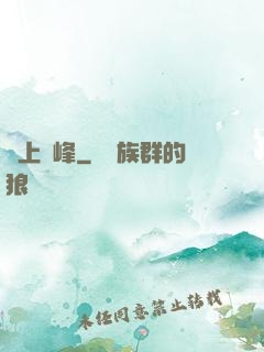 無上巔峰
