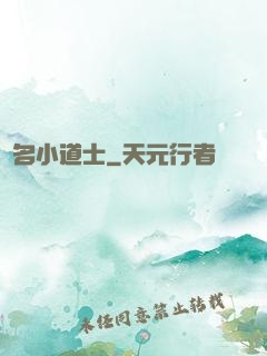 無名小道士