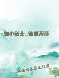 無名小道士