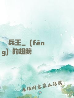 無敵兵王