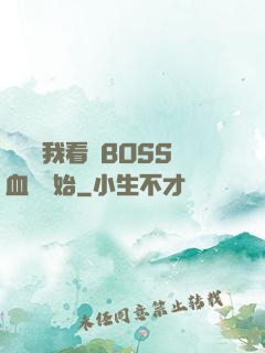 無敵從我看見BOSS血條開始