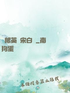 無限英靈宋白傳