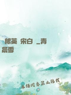 無限英靈宋白傳