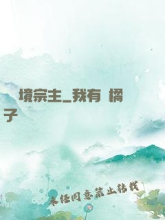 煉氣境宗主