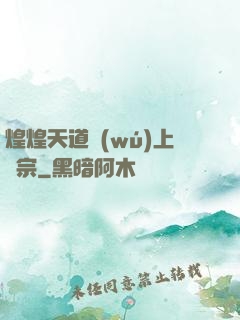煌煌天道無(wú)上劍宗
