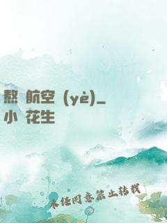 熬鷹航空業(yè)