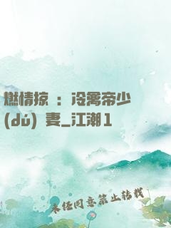 燃情掠愛：冷禽帝少獨(dú)寵妻