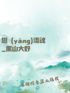 燃陽(yáng)流魂