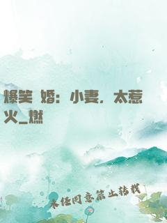 爆笑寵婚：小妻，太惹火
