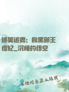 爆笑追妻：腹黑邪王戲痞妃