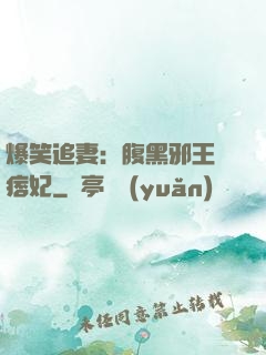 爆笑追妻：腹黑邪王戲痞妃