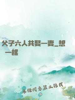 父子六人共娶一妻
