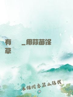 爺有兩桿槍