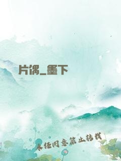 片偶