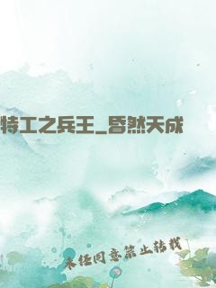 特工之兵王