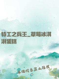 特工之兵王