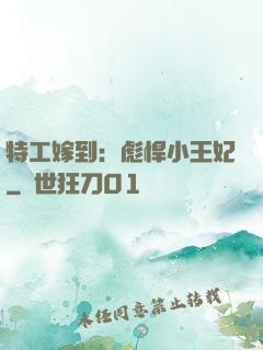 特工嫁到：彪悍小王妃