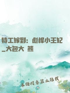 特工嫁到：彪悍小王妃
