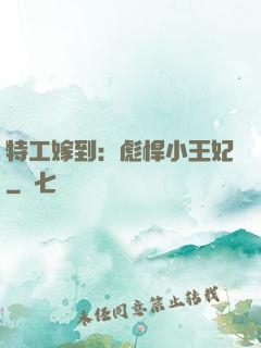 特工嫁到：彪悍小王妃