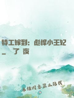 特工嫁到：彪悍小王妃