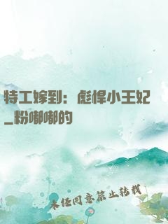特工嫁到：彪悍小王妃