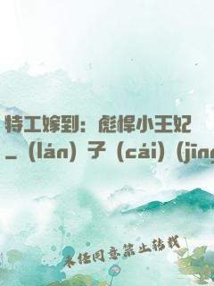 特工嫁到：彪悍小王妃