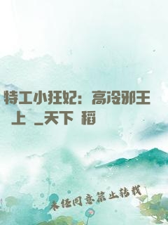 特工小狂妃：高冷邪王寵上癮