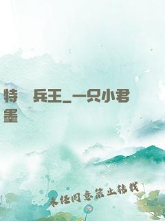 特種傭兵王