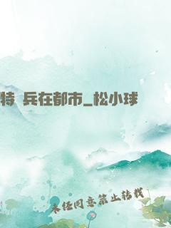 特種兵在都市