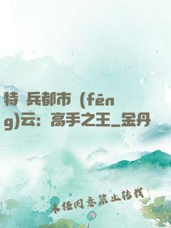特種兵都市風(fēng)云：高手之王