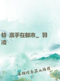 特種高手在都市