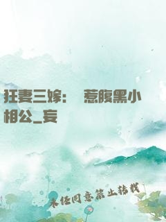 狂妻三嫁：誤惹腹黑小相公